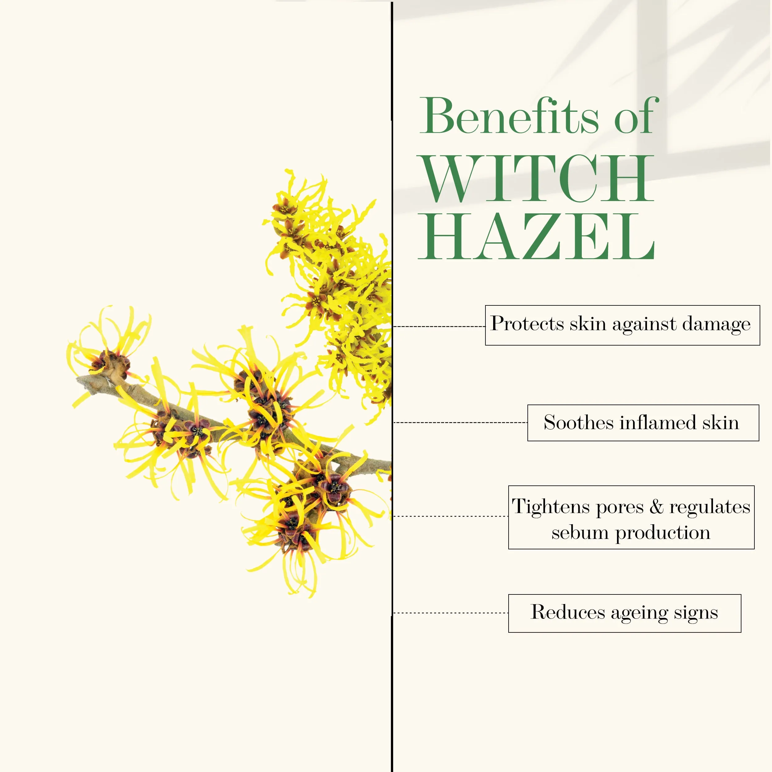 Witch Hazel Soothing Toner